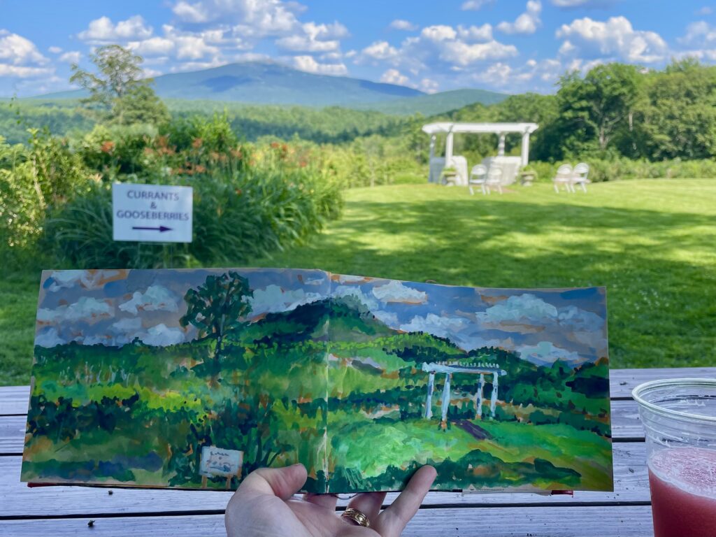 Sketch of Monadnock Berries